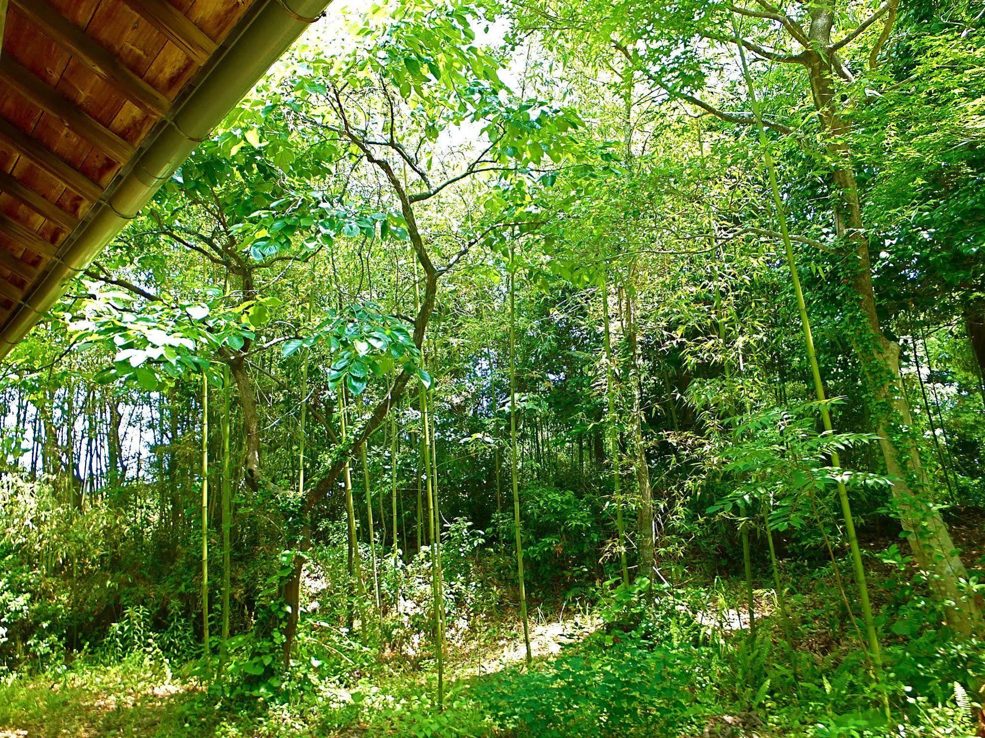Kominka Sharehouse Hooju Миядзаки Экстерьер фото
